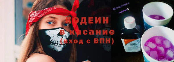 apvp Алексин