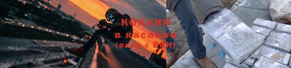 apvp Алексин