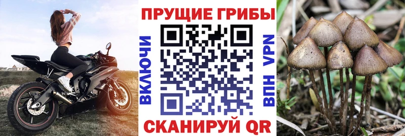 Галлюциногенные грибы Magic Shrooms  даркнет сайт  Биробиджан 