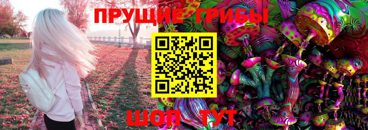 Биробиджан  Псилоцибиновые грибы Psilocybine cubensis  Вход с VPN 